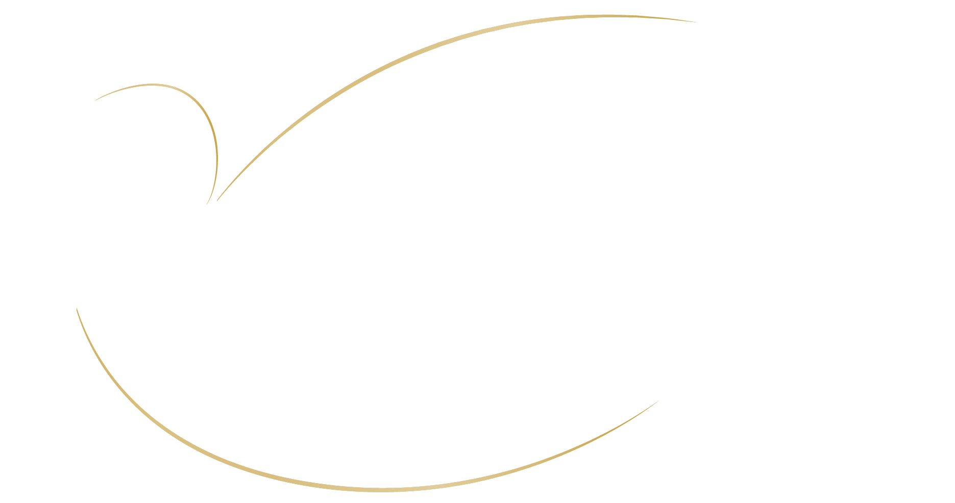 Orlando Vascular Surgery — Vascular Surgery & Vein Care Center